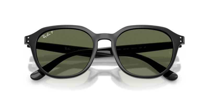 Ray-Ban RB4459D in Black - Alternate View