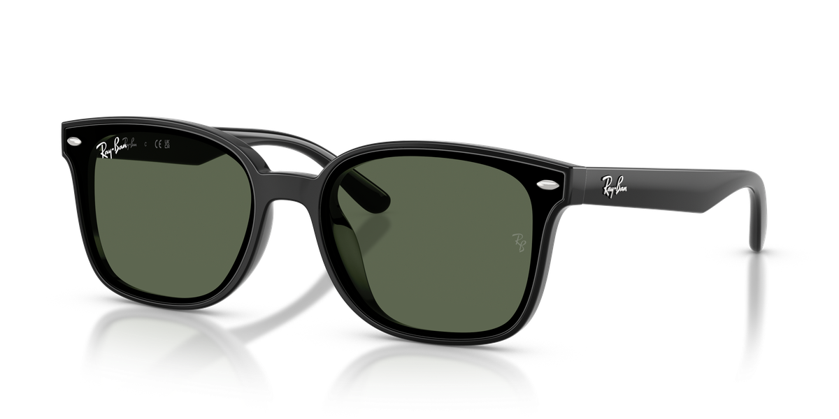 Ray-Ban RB4461D