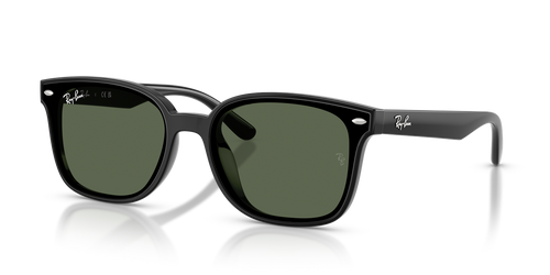 Black / Dark Green (601/71)