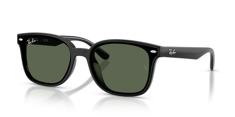 Ray-Ban RB4461D in Black / Dark Green (601/71) - Front View