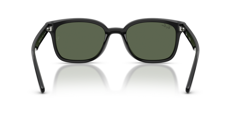 Ray-Ban RB4461D in Black / Dark Green (601/71) - Temple Detail