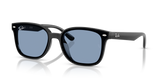 Black / Blue (601/80)