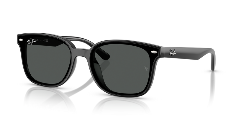 Ray-Ban RB4461D in Black / Dark Grey (601/87) - Alternate View
