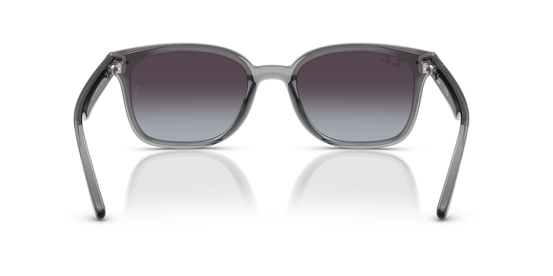 Ray-Ban RB4461D in Transparent Grey / Grey Gradient (64508G) - Alternate View