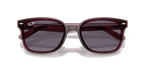 Transparent Dark Brown / Violet (659373)
