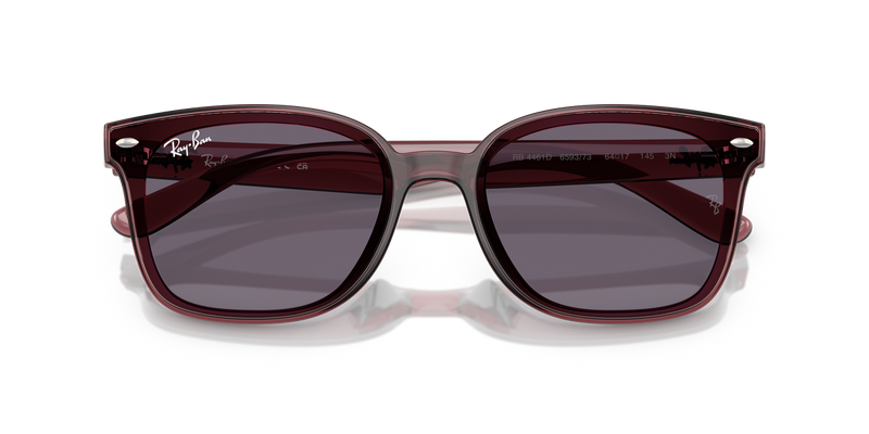 Ray-Ban RB4461D in Transparent Dark Brown / Violet (659373) - Alternate View