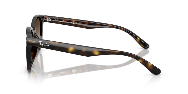 Ray-Ban RB4461D in Havana / Gradient Brown (710/13) - Alternate View