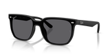 Matte Black / Polarized Grey (601S81)