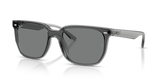Transparent Grey / Dark Grey (645087)