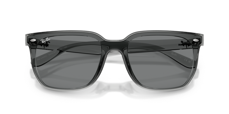 Ray-Ban RB4466D in Transparent Grey / Dark Grey (645087) - Alternate View
