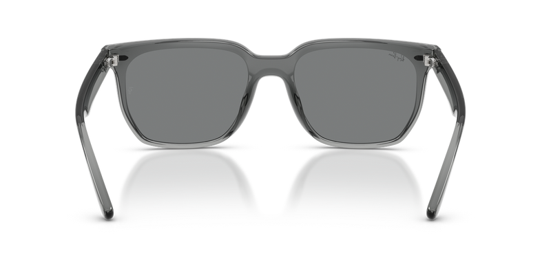 Ray-Ban RB4466D in Transparent Grey / Dark Grey (645087) - Alternate View