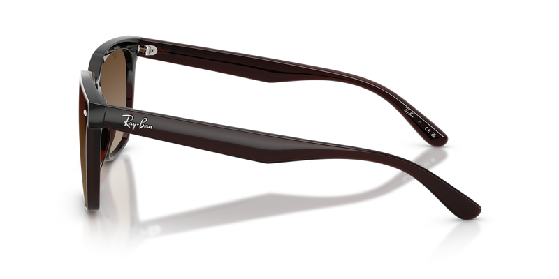 Ray-Ban RB4466D in Transparent Dark Brown / Brown Gradient (714/13) - Alternate View