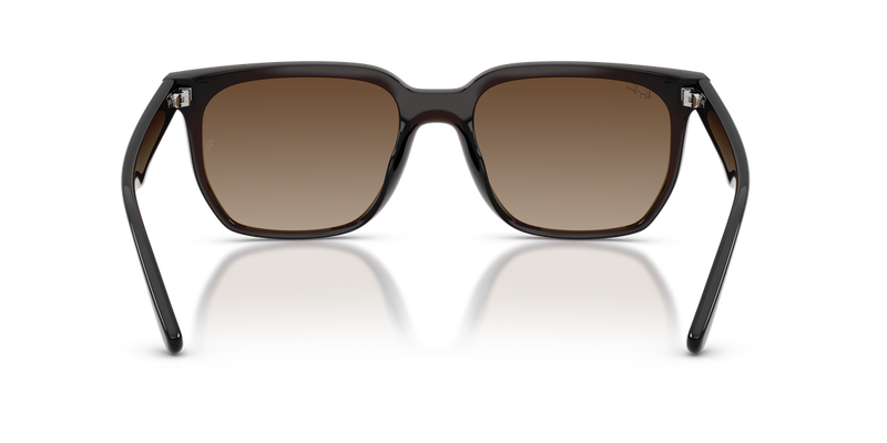 Ray-Ban RB4466D in Transparent Dark Brown / Brown Gradient (714/13) - Alternate View