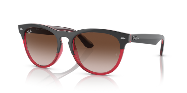Ray-Ban IRIS