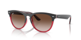Grey On Transparent Red / Brown (663113)