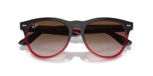 Grey On Transparent Red / Brown (663113)