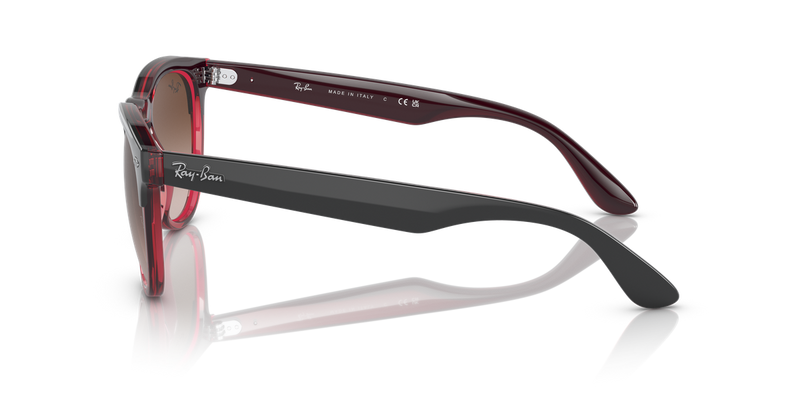 Ray-Ban IRIS in Grey On Transparent Red - Back View
