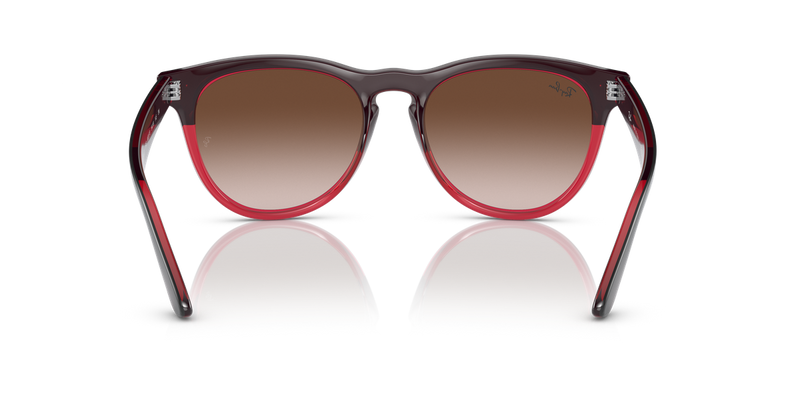 Ray-Ban IRIS in Grey On Transparent Red - Temple Detail