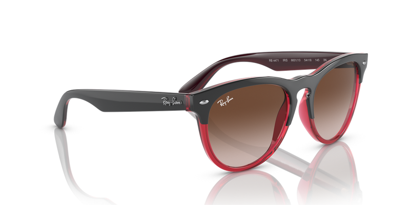 Ray-Ban IRIS in Grey On Transparent Red - Alternate View