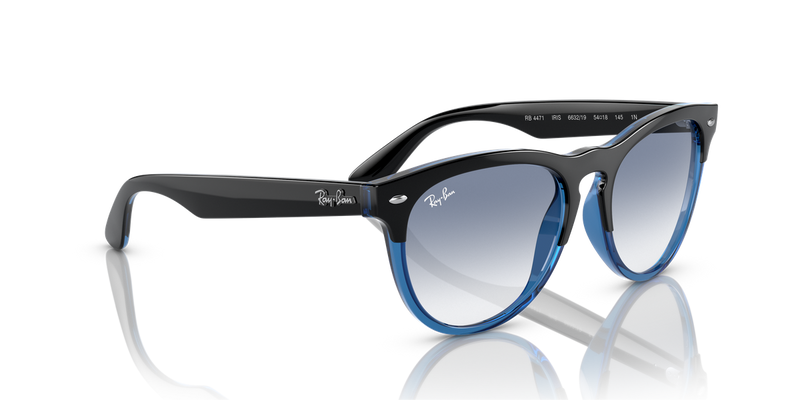 Ray-Ban IRIS in Black On Blue - Alternate View