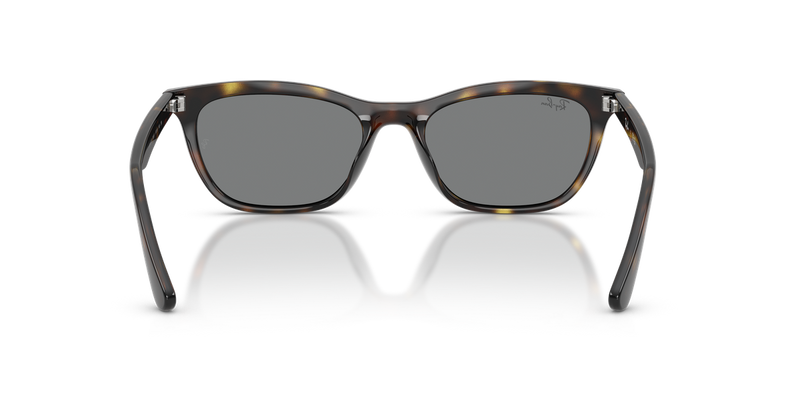 Ray-Ban RB4474D in Havana - Alternate View