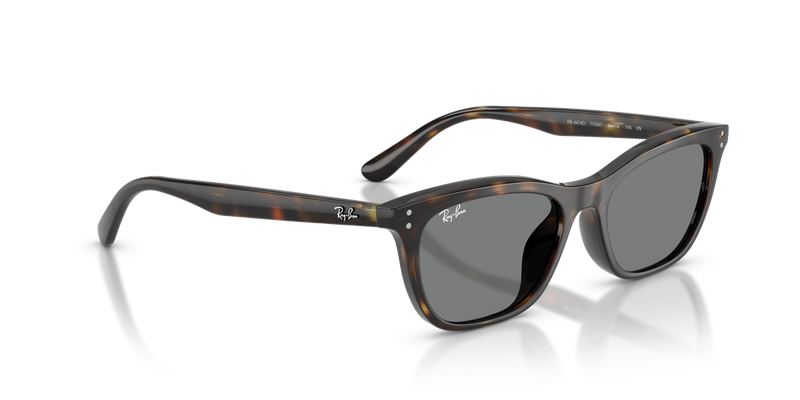 Ray-Ban RB4474D in Havana - Alternate View