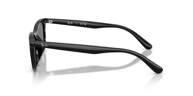 Ray-Ban RB4474D in Black - Alternate View