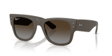 Sand Brown / Polarized Brown Gradient (6124T5)