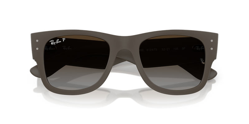 Ray-Ban RB4840S in Sand Brown - Alternate View