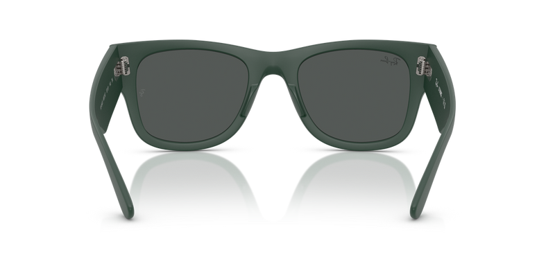 Ray-Ban RB4840S in Sand Green - Alternate View