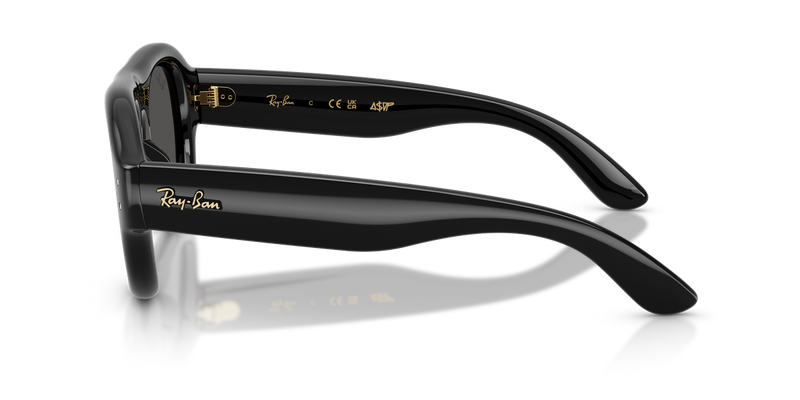 Ray-Ban RB4925 in Black / Ultra Black (601/87) - Alternate View