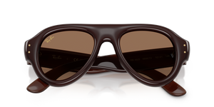 Transparent Dark Brown / Dark Brown (689673)