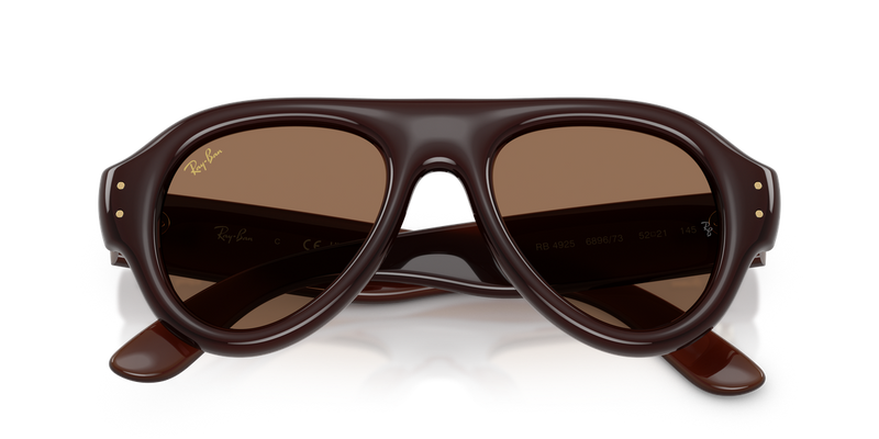 Ray-Ban RB4925 in Transparent Dark Brown / Dark Brown (689673) - Alternate View