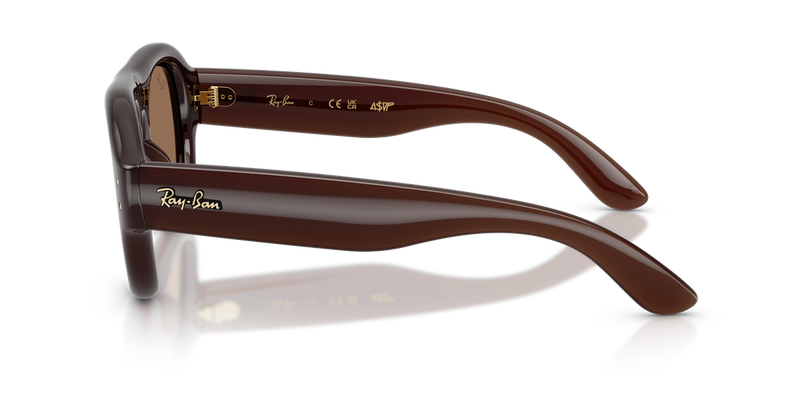 Ray-Ban RB4925 in Transparent Dark Brown / Dark Brown (689673) - Alternate View