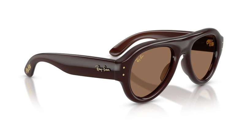 Ray-Ban RB4925 in Transparent Dark Brown / Dark Brown (689673) - Alternate View