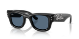 Black / Dark Blue (686480)
