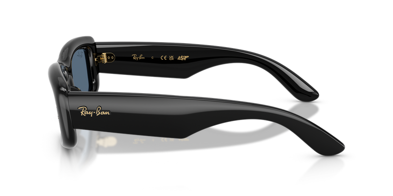 Ray-Ban RB4944 in Black / Dark Blue (601/80) - Alternate View