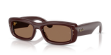 Transparent Dark Brown / Dark Brown (687773)