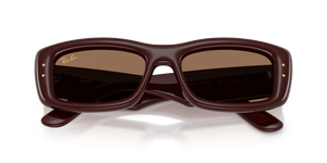 Transparent Dark Brown / Dark Brown (687773)