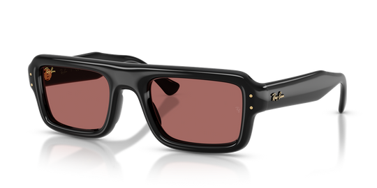 Ray-Ban RB4954 - Black / Dark Violet (601/69)