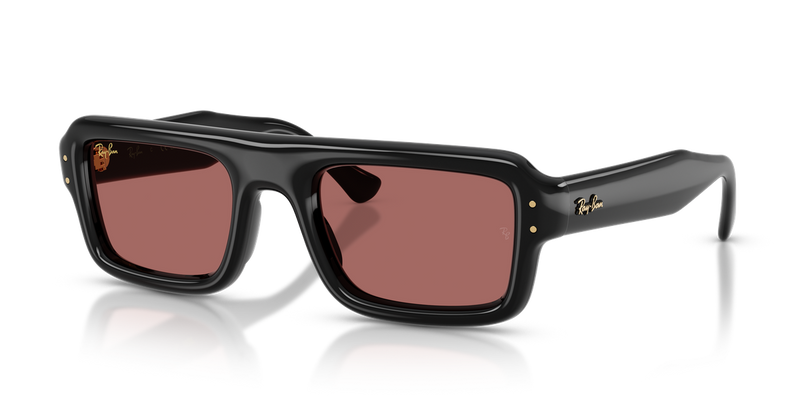 Ray-Ban RB4954 in Black / Dark Violet (601/69) - Front View