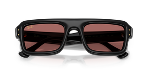 Black / Dark Violet (601/69)