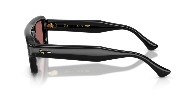 Ray-Ban RB4954 in Black / Dark Violet (601/69) - Back View