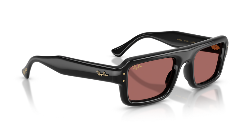 Ray-Ban RB4954 in Black / Dark Violet (601/69) - Alternate View