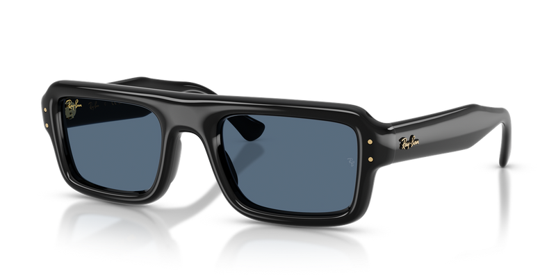 Ray-Ban RB4954 in Black / Dark Blue (601/80) - Alternate View