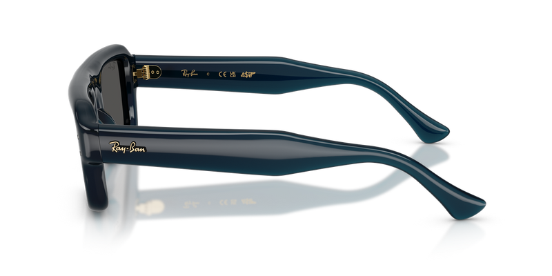 Ray-Ban RB4954 in Transparent Dark Blue / Ultra Black (689587) - Alternate View