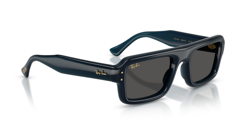 Ray-Ban RB4954 in Transparent Dark Blue / Ultra Black (689587) - Alternate View