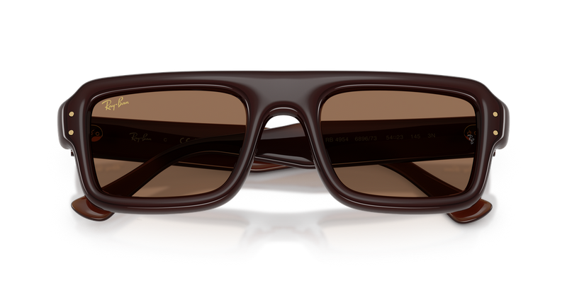 Ray-Ban RB4954 in Transparent Dark Brown / Dark Brown (689673) - Alternate View