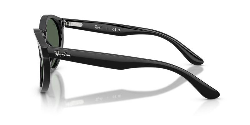Ray-Ban RBR0505S in Black / Dark Green (6677VR) - Back View