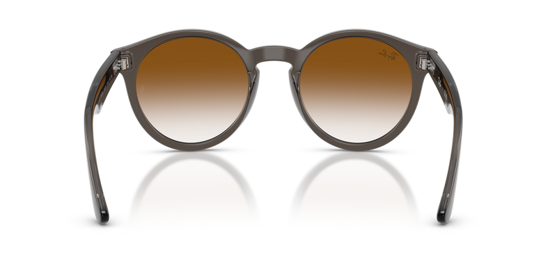 Ray-Ban RBR0505S in Transparent Dark Grey / Clear Gradient Brown (6707CB) - Alternate View